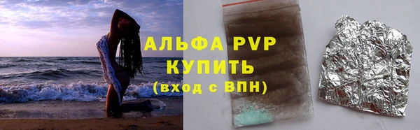 индика Богородск