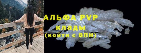 apvp Бородино