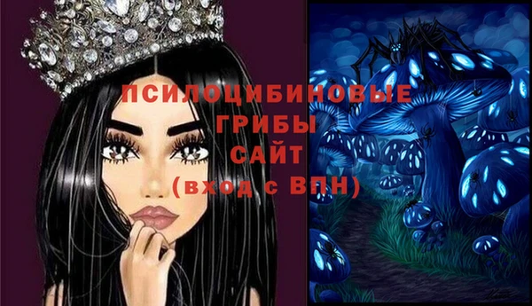 дживик Богданович