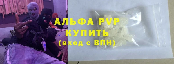 индика Богородск