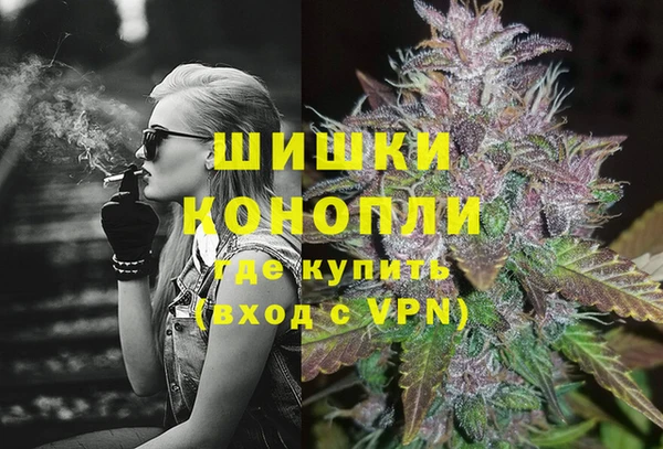 дживик Богданович