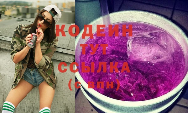 индика Богородск