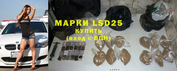 индика Богородск