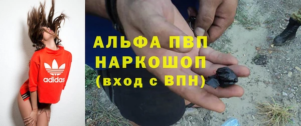 дживик Богданович