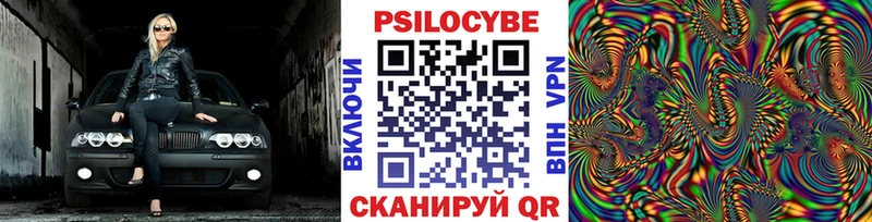 Псилоцибиновые грибы Psilocybine cubensis  Купить закладки  Томилино 
